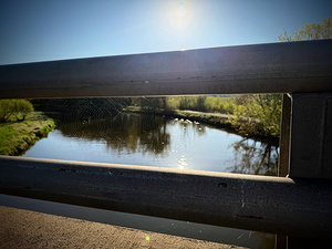 Spider Web on Bridge at Sunrise – Nature Framed in Stillness 1