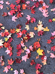 Grounded in Colors 1B