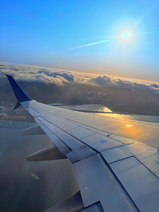 Wings over SF: Above the Quiet Kingdom