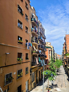 Open Windows- Open Lives