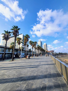 Sun-Kissed Horizons: Barcelona Beach