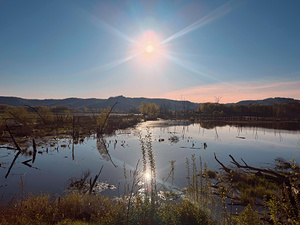 Reflections of La Crosse 2-Reflecting the brilliance of a new day