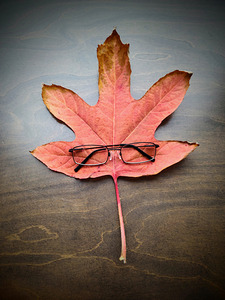 Losing Sight of Fall