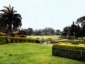 Civic Eden: The Park Awakens