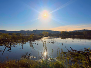 Sunrise Over Tranquil Wetlands with Sunbeam Reflection