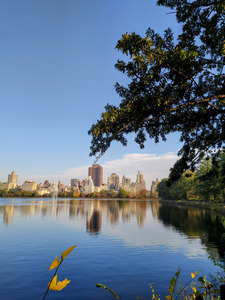Framed Reflections – Central Park