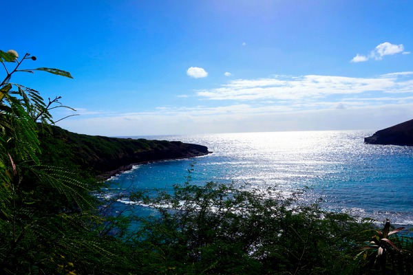 Welcome to Hawaii Print