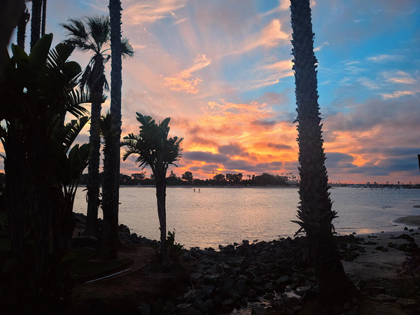 San Diego Sunset: Silent Waters Painted Skies Standing Tall Print