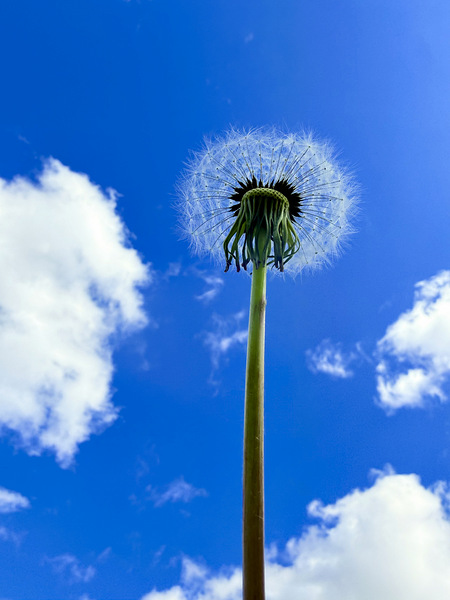 IMG 1759 Digital Download