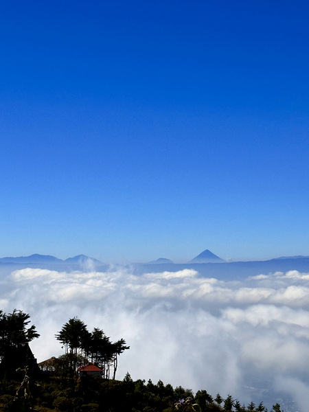 IMG 9130 Digital Download