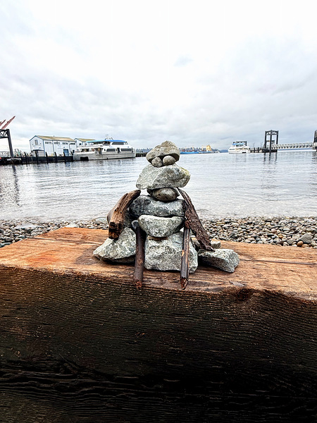  The Watcher of West Seattle  Print