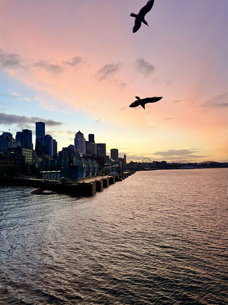 Pink Dusk Flight Print