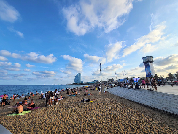 The Soft Chaos of Summer Print