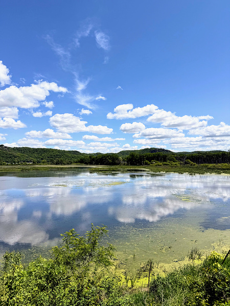 Whispers on the Water: A Mirror of the Skies Print