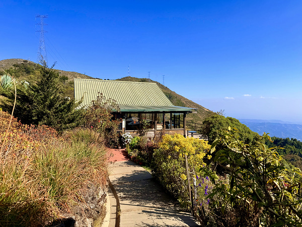 IMG 9695 Digital Download