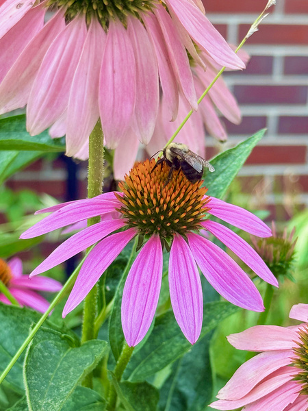 Floral Landing Digital Download