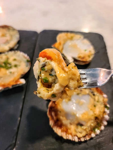 Shellbound Sonata Print