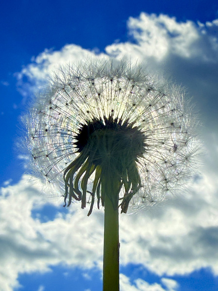 IMG 1740 Digital Download