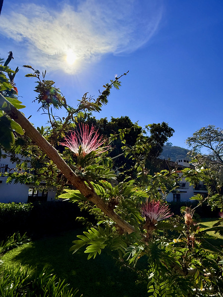 IMG 0024 Digital Download