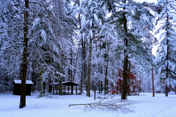 Winter Wonderland 2 Print