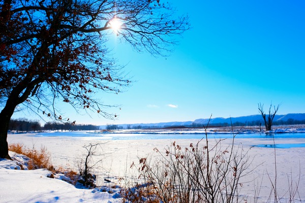 Winterscape 2B Print