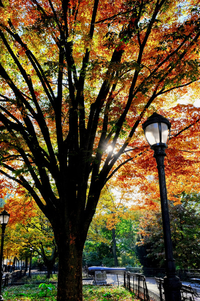 A Stroll in Color Print