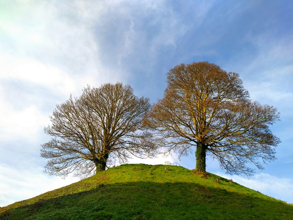 Standing Guard Print
