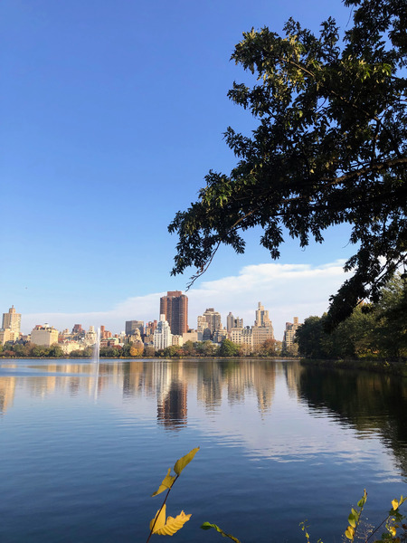 Nature’s Window to the City Digital Download