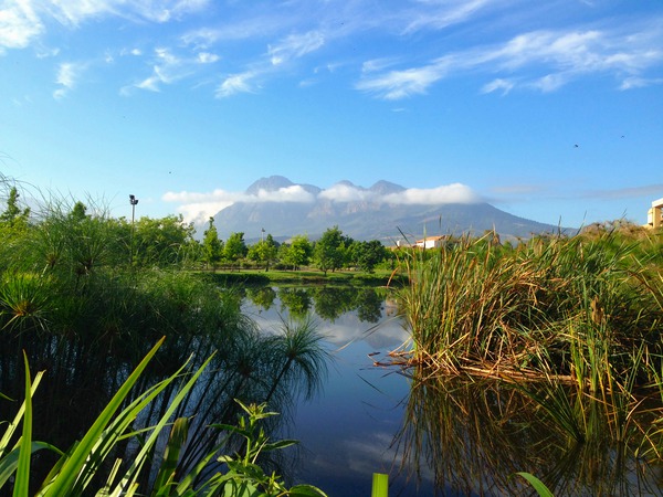 Out of Africa 2 Print