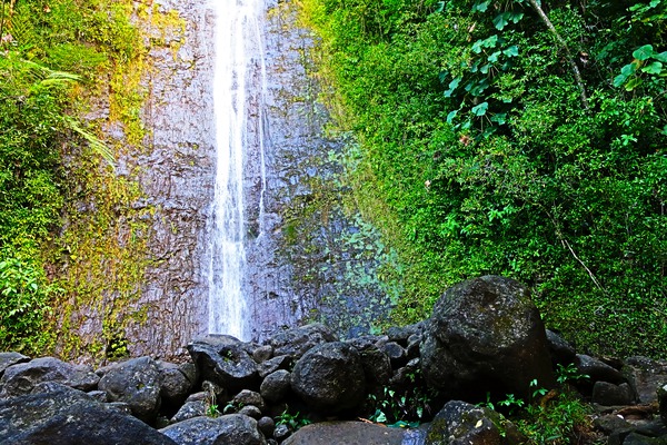 Falling for Colors Print