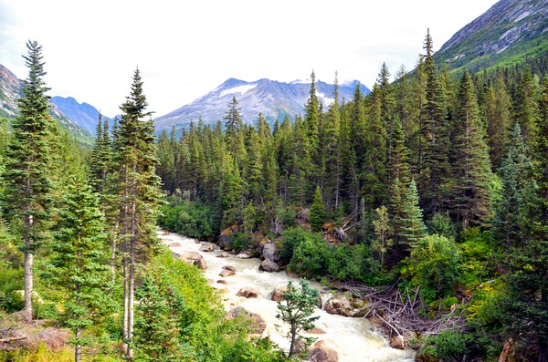 Majestic Mountains of Alaska 3C Print