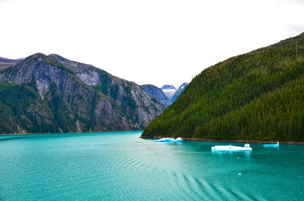 Majestic Mountains of Alaska 5 Print