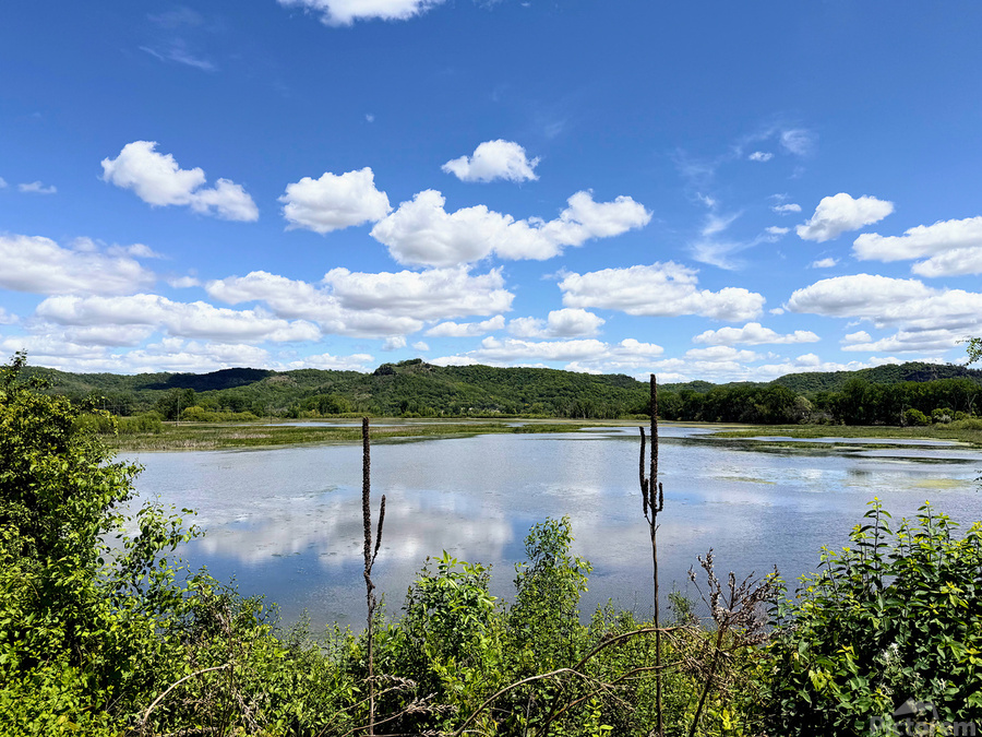 Into the Wild Blue  Print