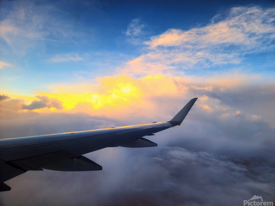 Wings of Dawn  Imprimer