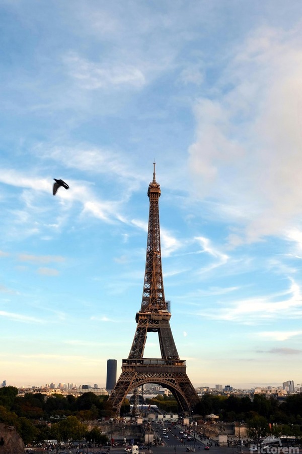 Eiffel Tower 1  Print