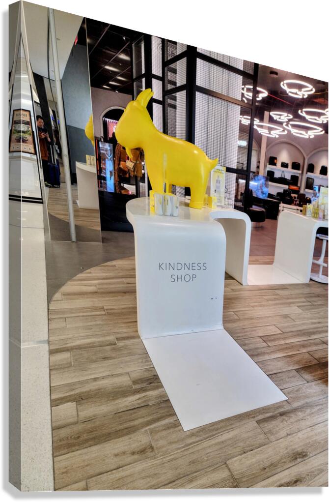 Shop for Kindness Canvas Print