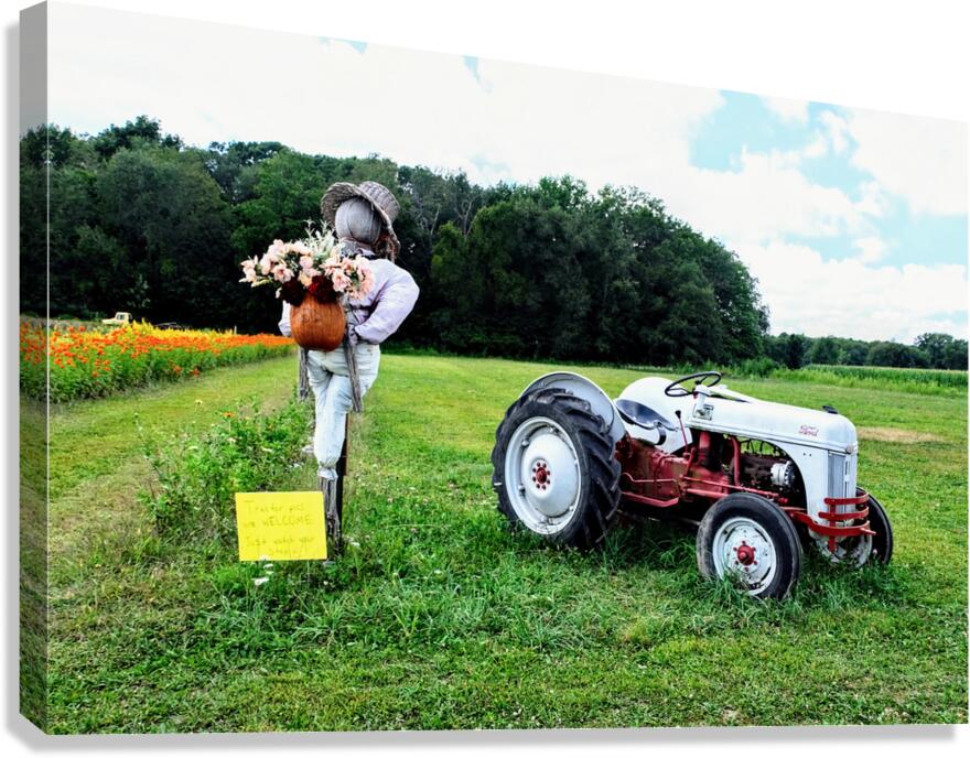 Tractor and Scarecrow: Whimsy on the Windrows Canvas Print