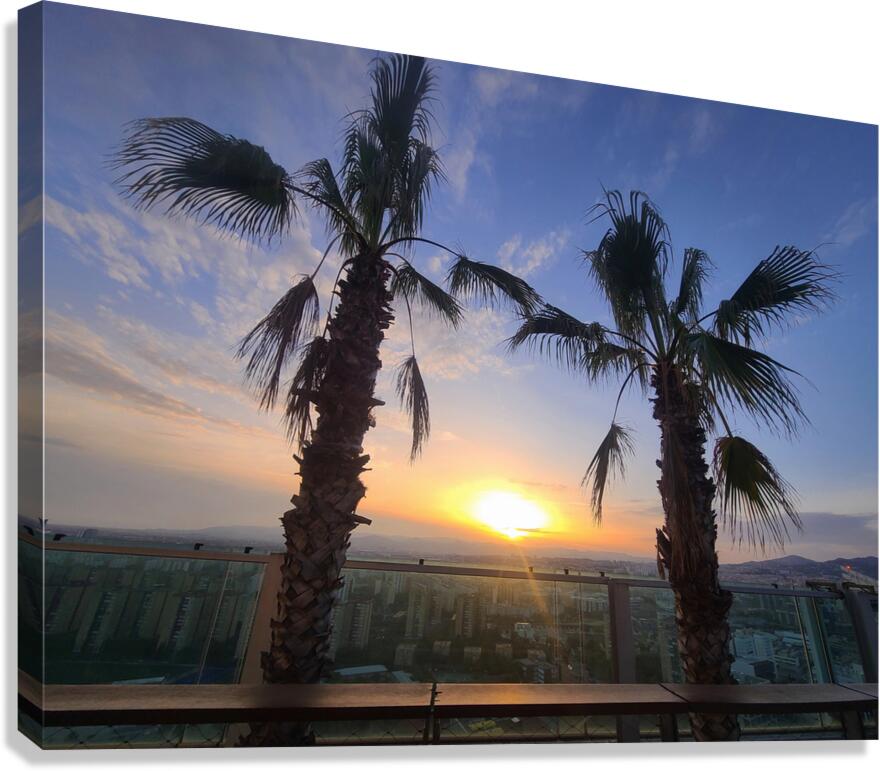 Palms Over the Skyline Canvas Print