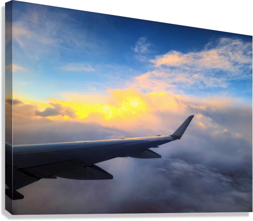 Wings of Dawn Canvas Print
