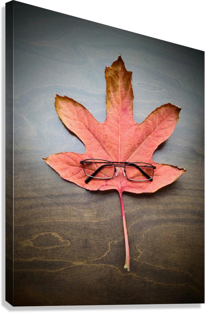 Losing Sight of Fall Canvas Print