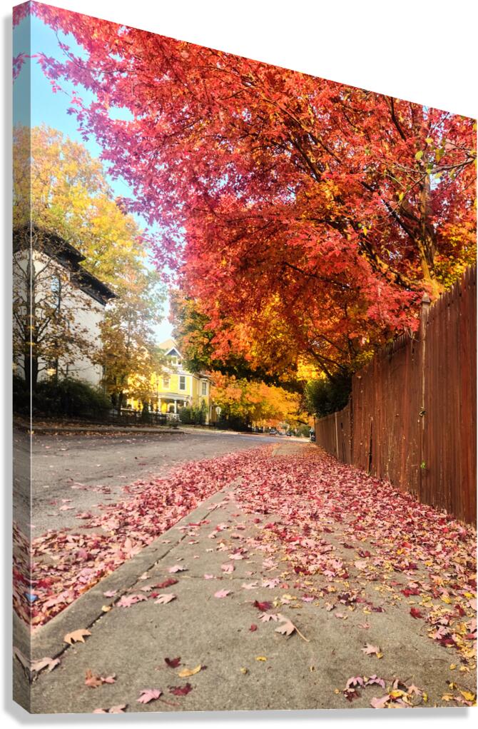 Fall Over the Fence  Canvas Print
