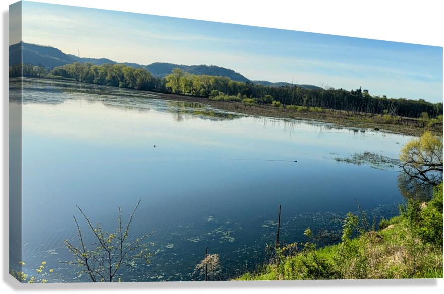 Serene Lakeside View with Forest and Hills Canvas Print