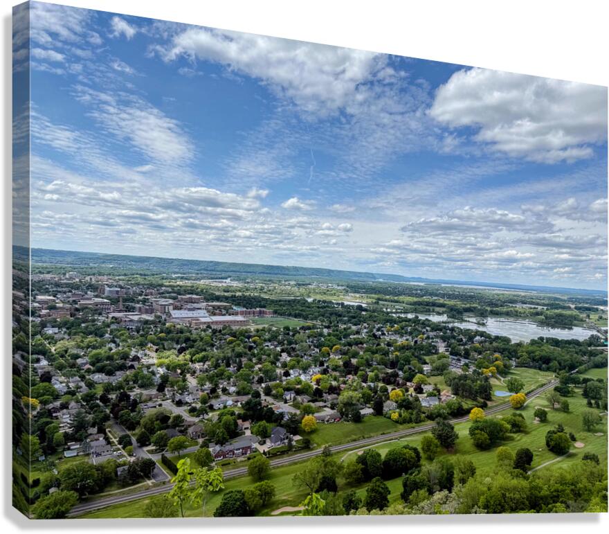 Sky Above Roots Below Canvas Print