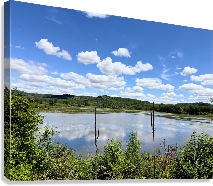 Into the Wild Blue Canvas Print