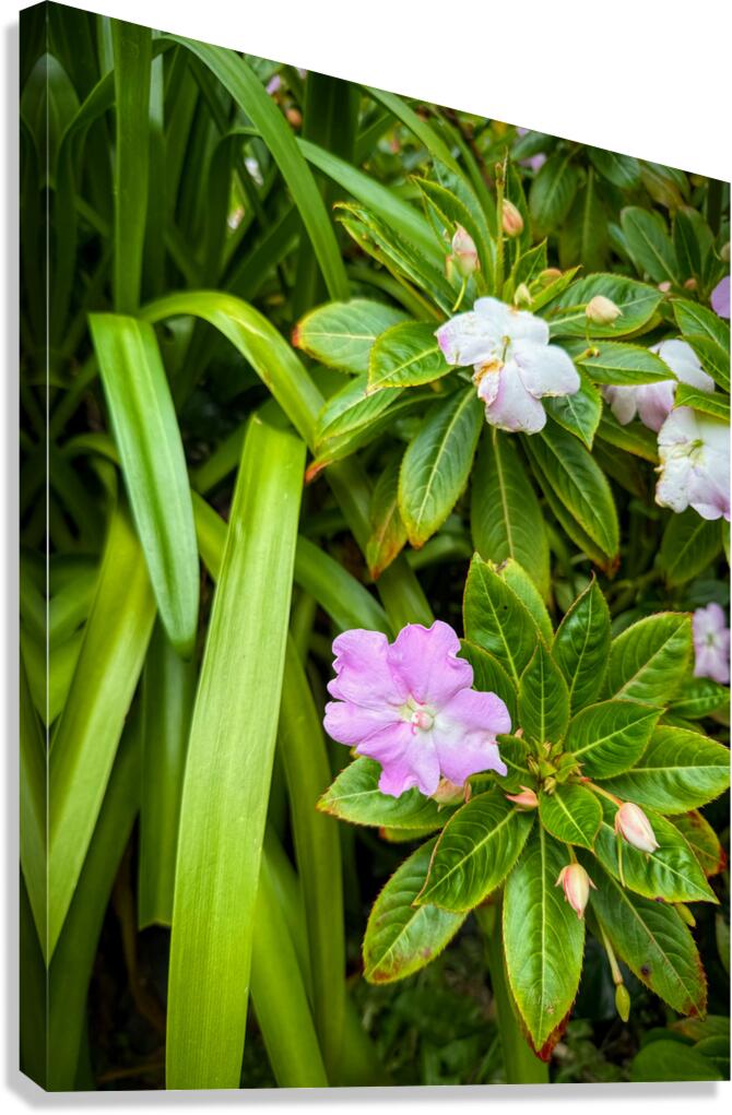 Green Rhythm Pink Pause Canvas Print