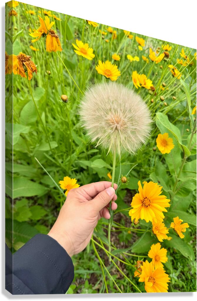 The Wild Stillness Between Wishes Canvas Print