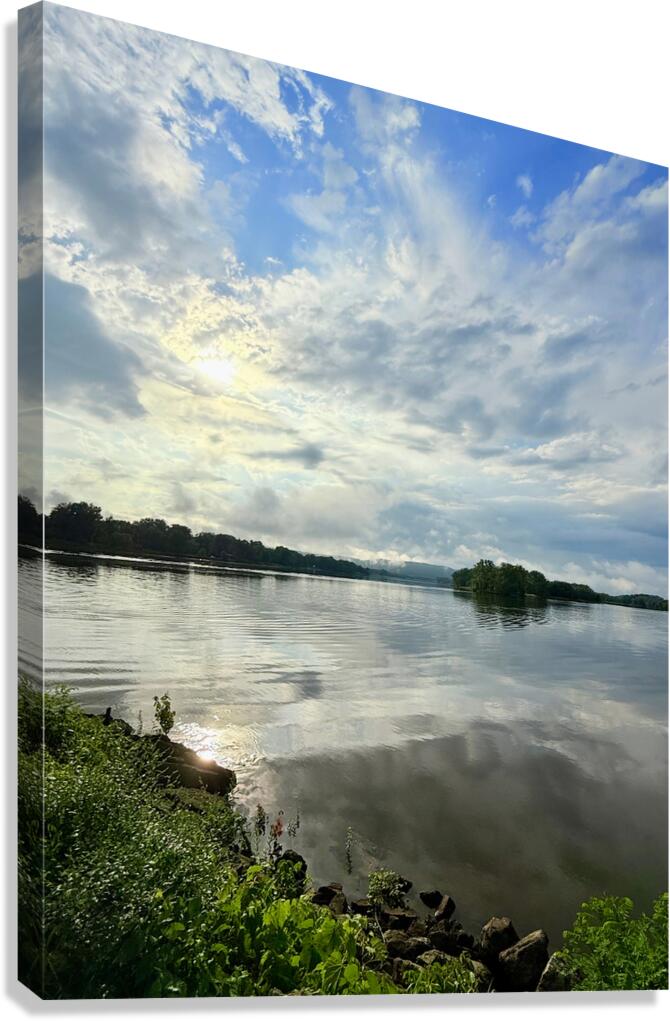 Between Earth and Ether Canvas Print