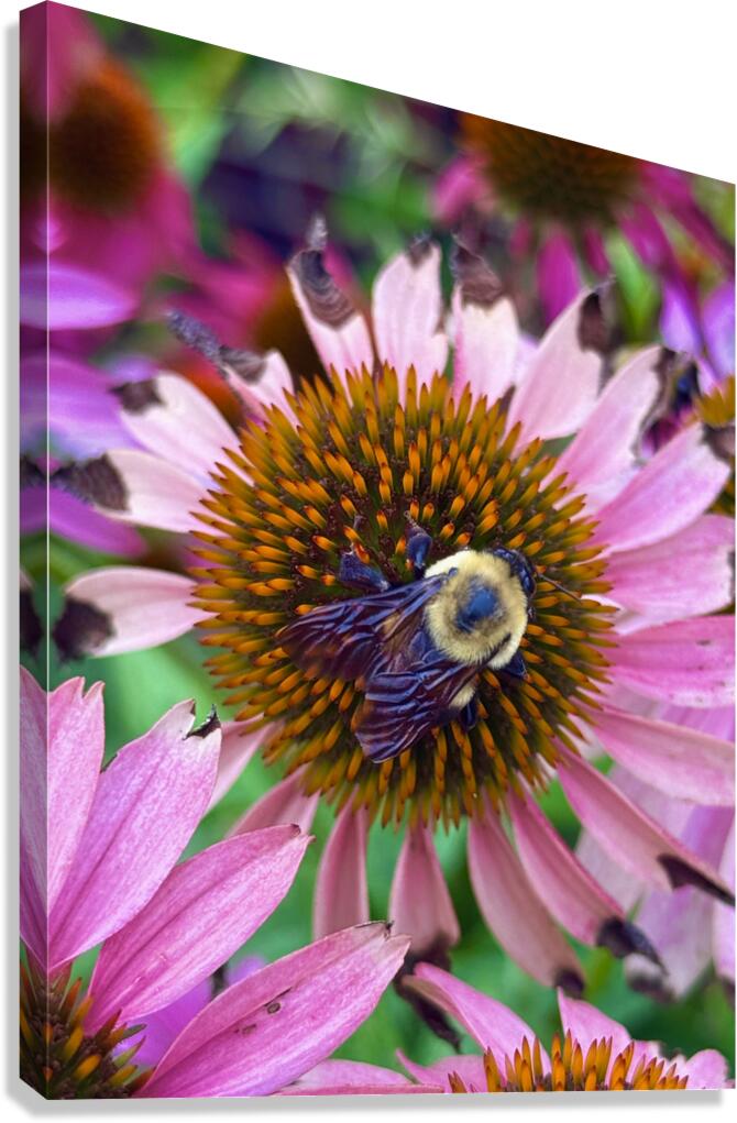 The Heart of Nature Canvas Print