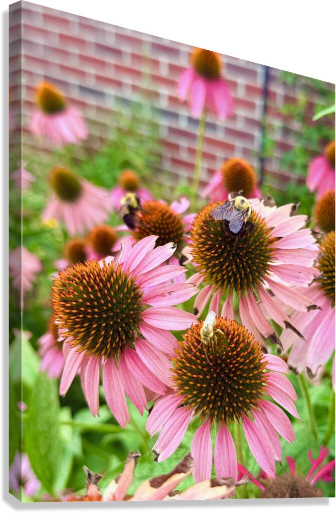 Garden Buzz Canvas Print