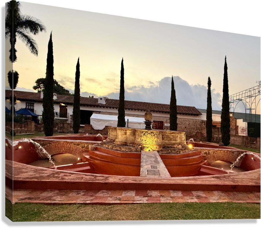 IMG 9984 Canvas Print